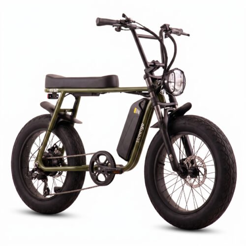 Bicicleta Elétrica Street Go S12